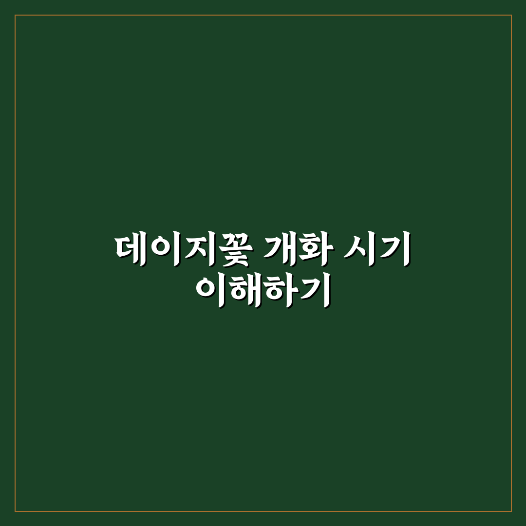 데이지꽃 시기별 개화 특징과 관리 기준 총정리