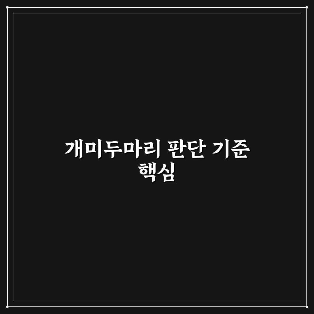 개미두마리 내려놓기 비교와 판단을 위한 5가지 기준