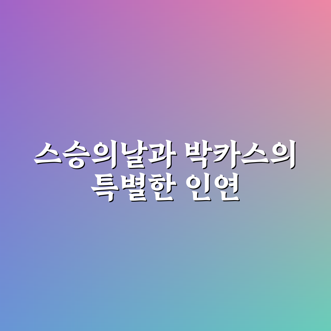 스승의날 박카스 선물 선택 5가지 기준 분석