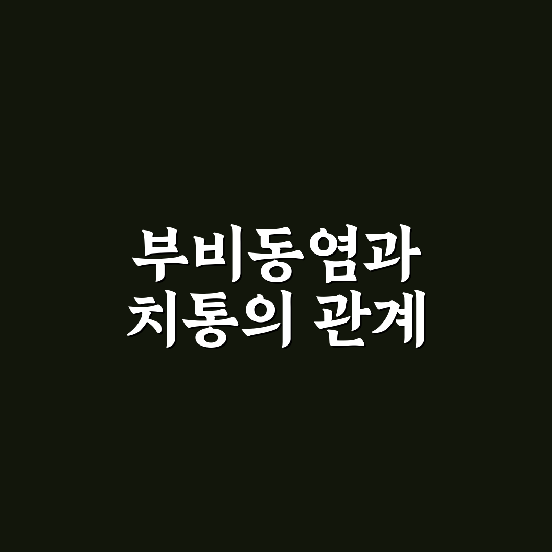 부비동염 치통 심함 원인과 치료법 비교 분석 가이드