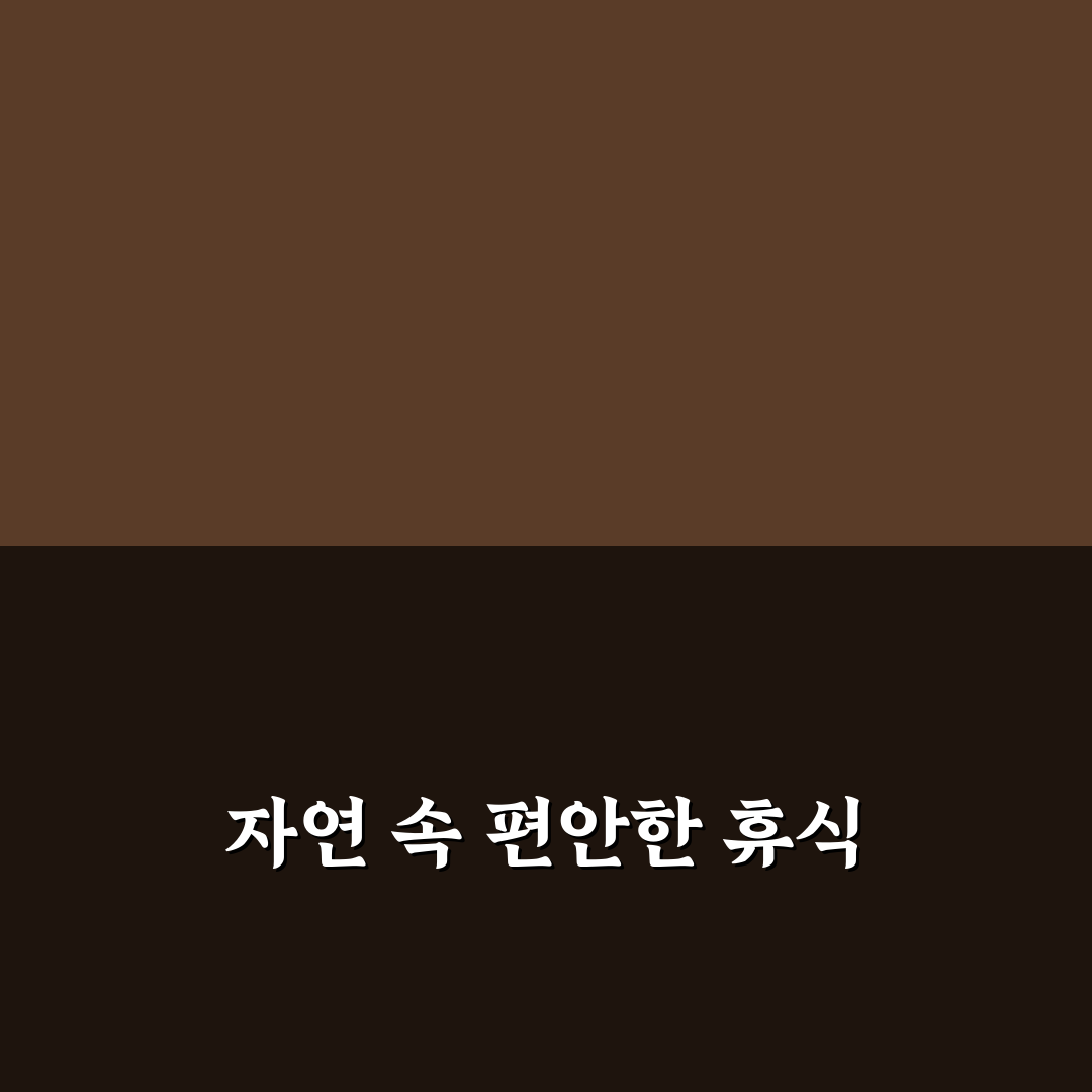 방목리 카페 선택을 위한 5가지 핵심 기준 비교 분석