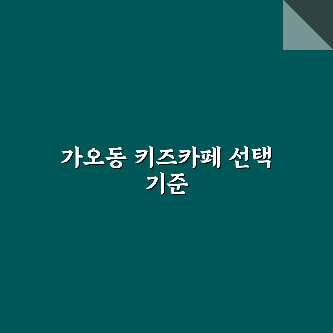 대전 가오동 키즈카페 선택을 위한 5가지 비교 기준 총정리