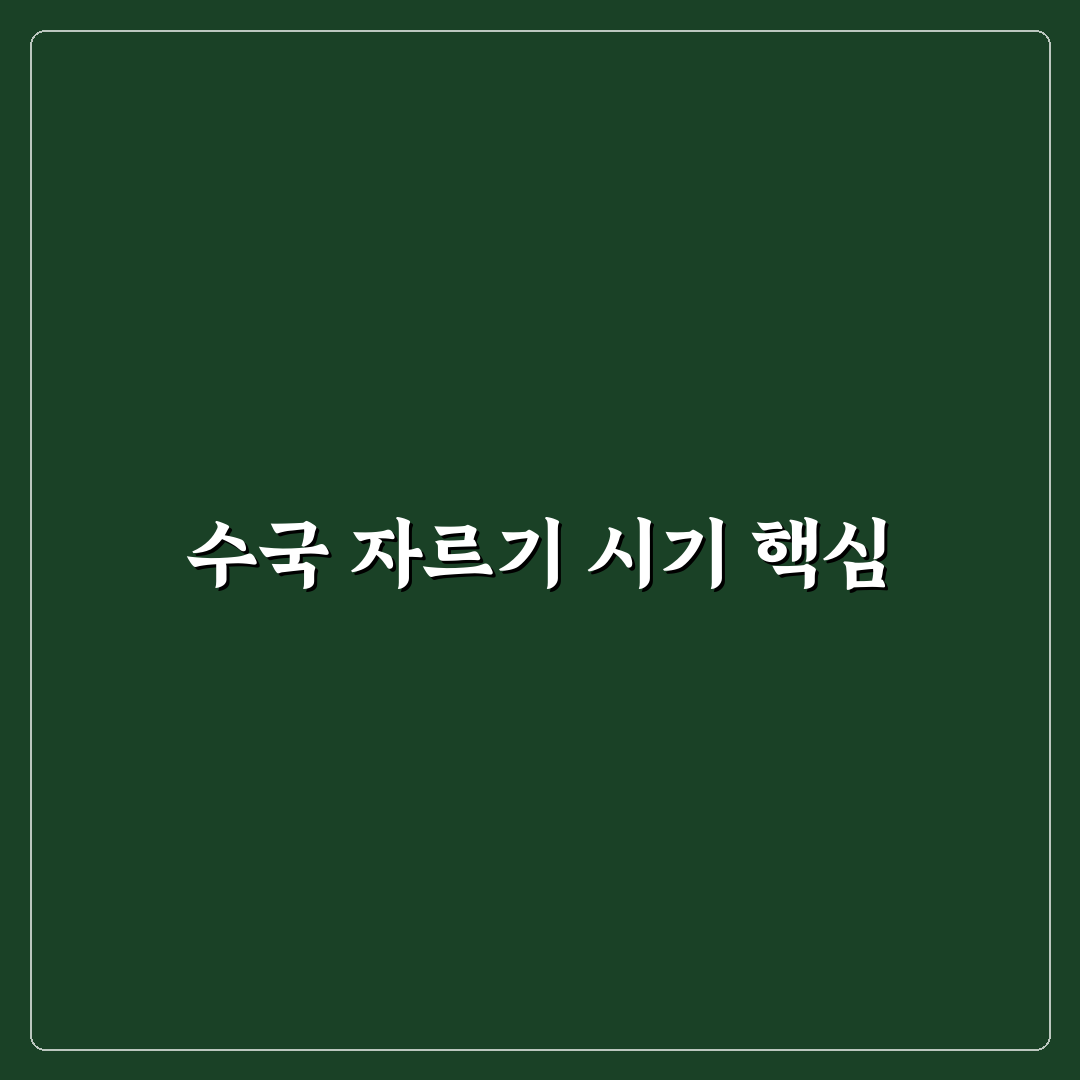 수국 꽃대 자르기 시기와 방법 총정리 가이드