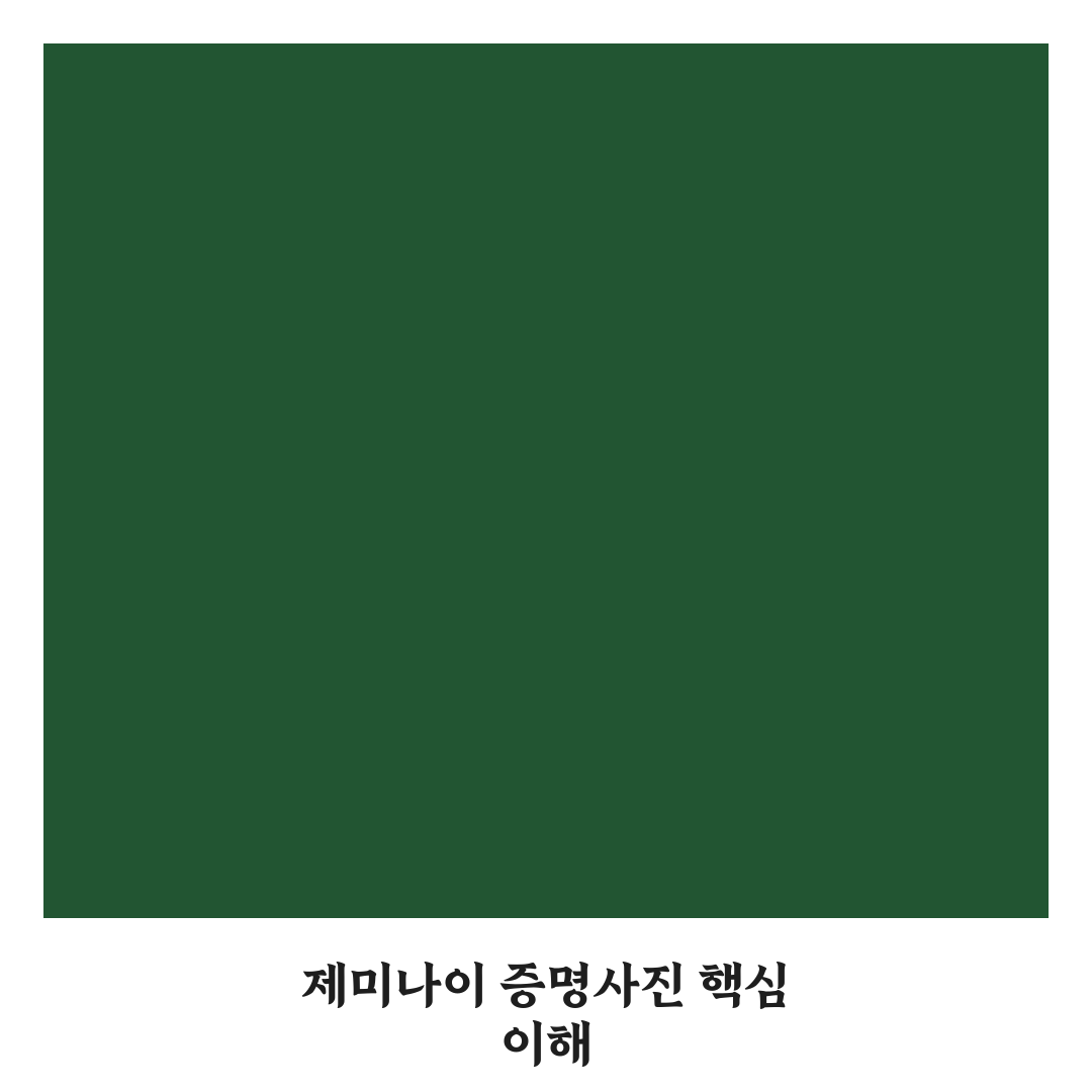 제미나이 증명사진 촬영 전 체크포인트 5가지 비교 분석