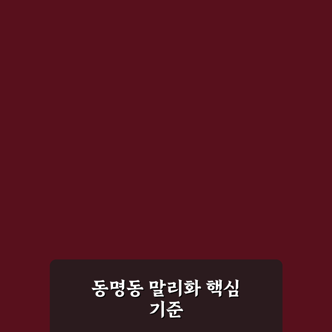 동명동 말리화 비교와 특징 분석 가이드 5가지
