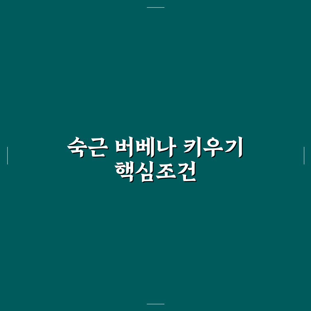 숙근 버베나 모종 선택 가이드와 관리 기준 총정리
