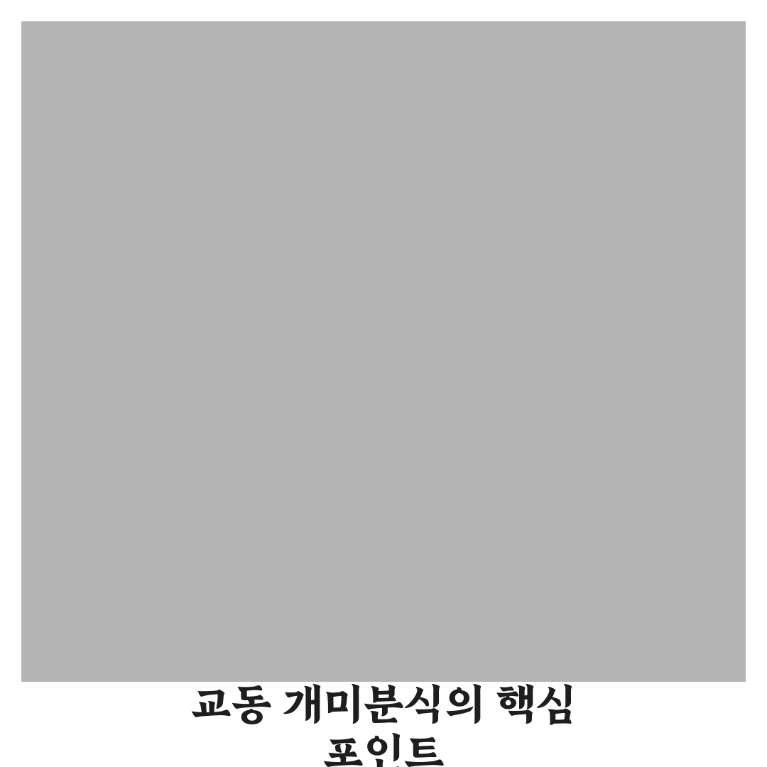 교동 개미분식 메뉴별 특징 비교와 선택 기준 총정리