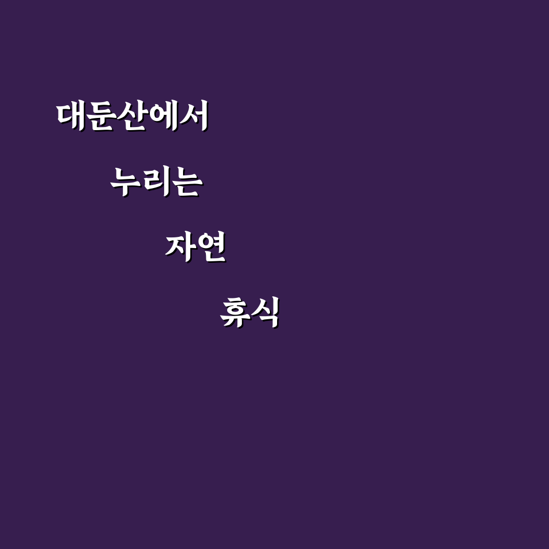 대둔산 자연휴양림 선택을 위한 5가지 비교 기준 총정리