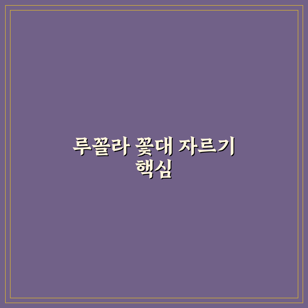 루꼴라 꽃대자르는법 5가지 기준별 가이드 총정리