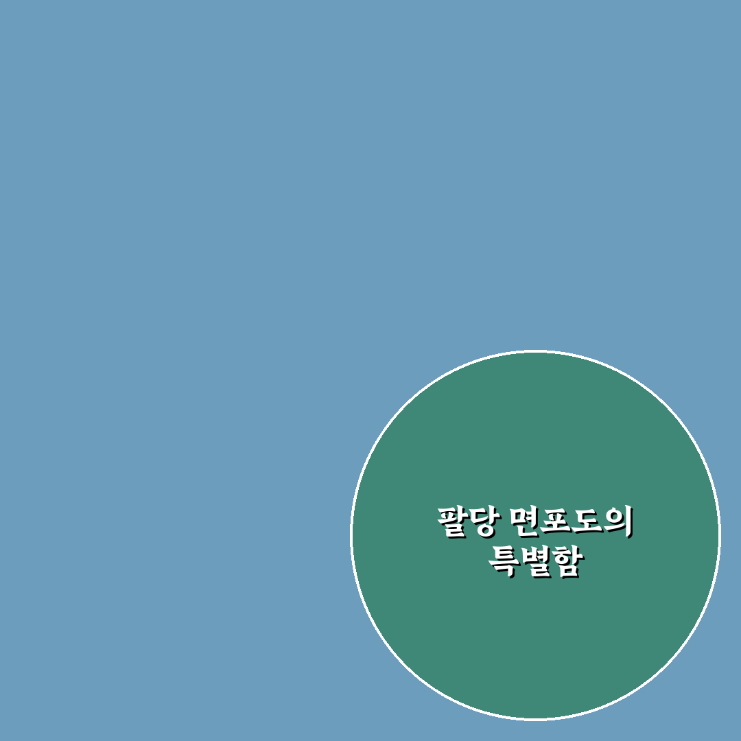팔당 면포도궁 맛과 서비스 5가지 기준 비교 분석