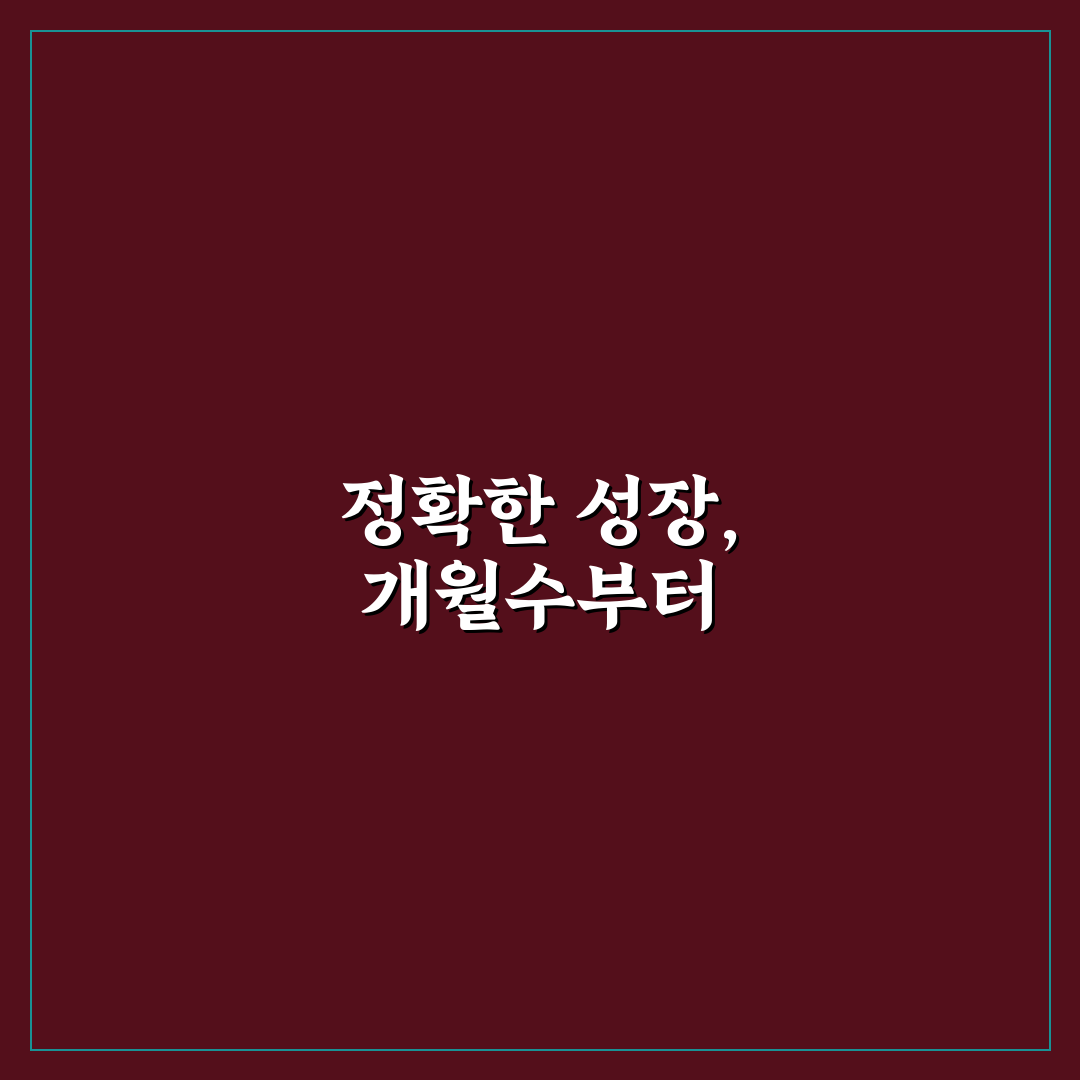 아이 개월수 계산기 선택 가이드와 주요 체크포인트 분석
